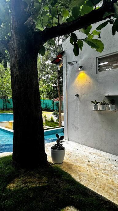 Serenity Farm Stay Hampāpura Екстериор снимка